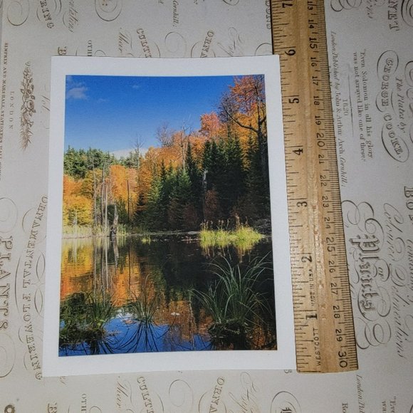 Packet of 8 Notecards - Adirondack Light 1 - Picture 13 of 14